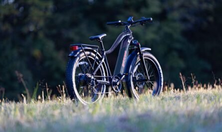 Ebike