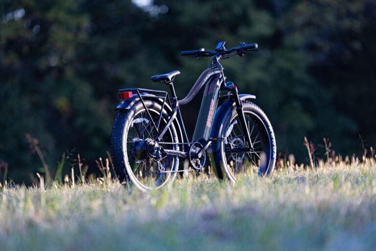Ebike