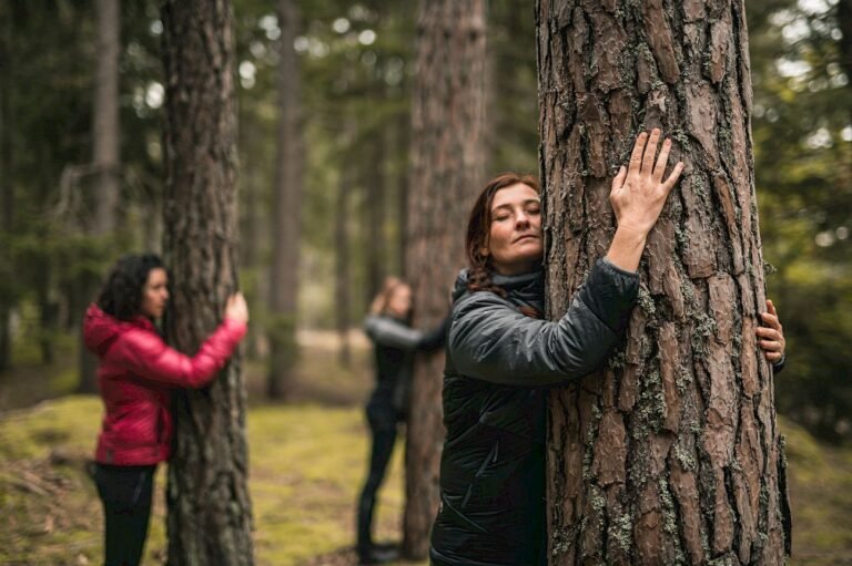 forest therapy benefits
