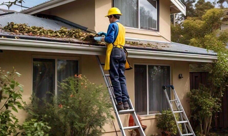 DIY vs. Professional Gutter Cleaning: Navigating the Highs and Lows