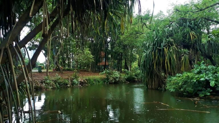 Eco Park in Punta Cana for Nature Lovers